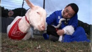 千鳥大悟おばあちゃん名前